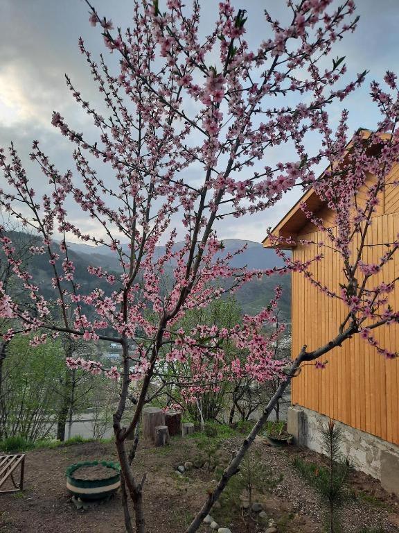 Family Ξενοδοχείο Dilijan Εξωτερικό φωτογραφία