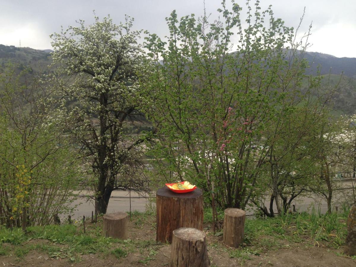 Family Ξενοδοχείο Dilijan Εξωτερικό φωτογραφία